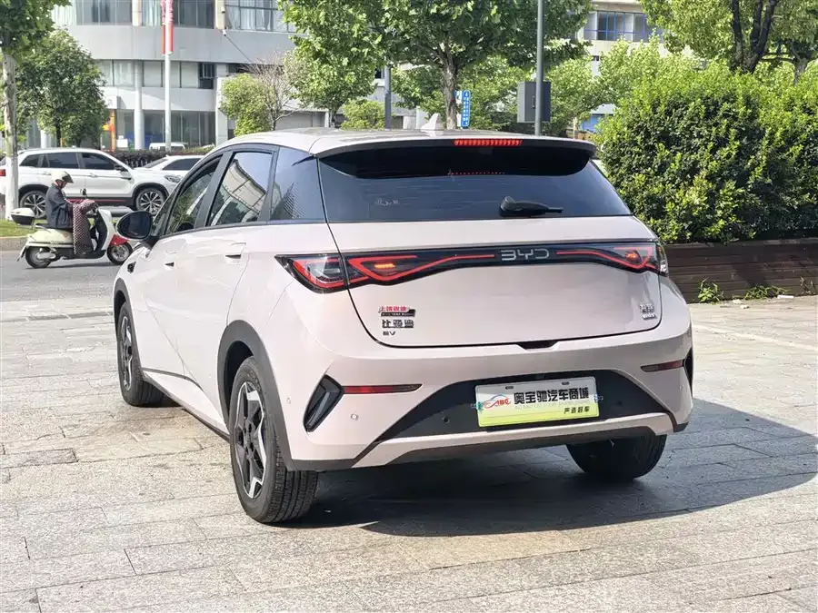 BYD Dolphin Dolphin 2025 Smart Driving Edition 420km Free Edition 2025 — миниатюра 3
