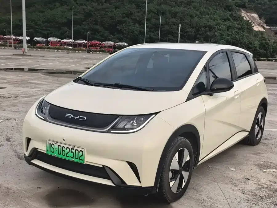 BYD Dolphin Dolphin 2023 420km Freedom Edition 2024 — фото 1, купить с доставкой в Москву