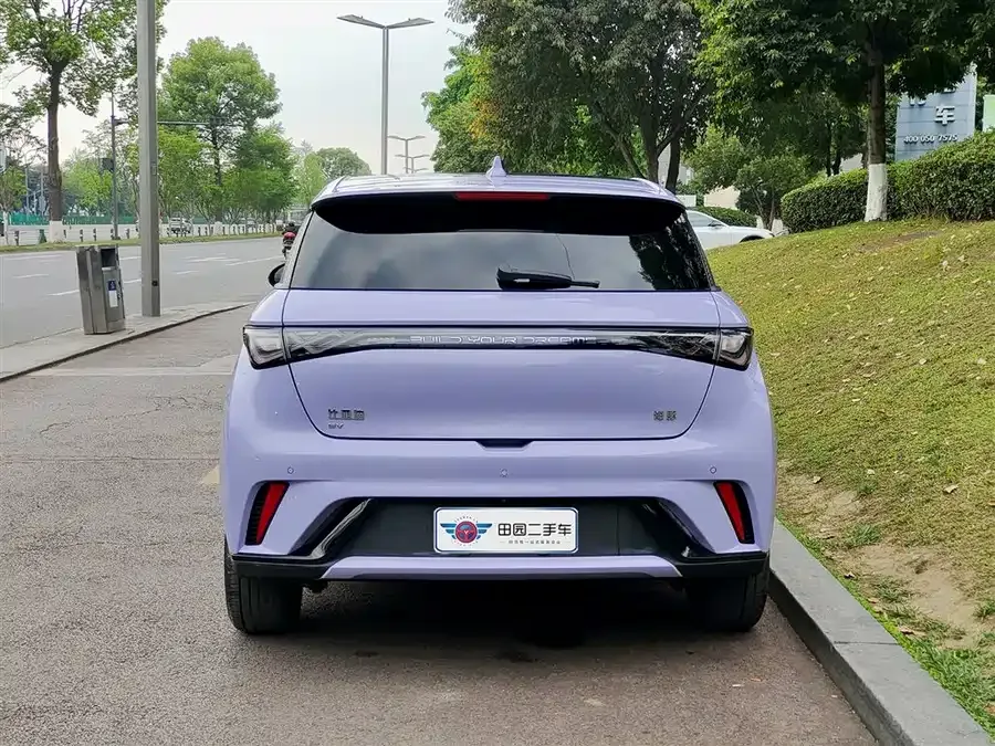 BYD Dolphin Dolphin 2024 Honor Edition 420km Free Edition 2024 — миниатюра 2