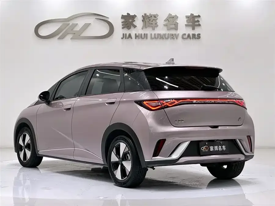 BYD Dolphin Dolphin 2023 420km Freedom Edition 2024 — миниатюра 2