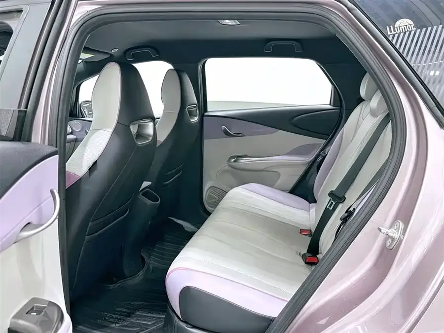 BYD Dolphin Dolphin 2023 420km Freedom Edition 2024 — миниатюра 3