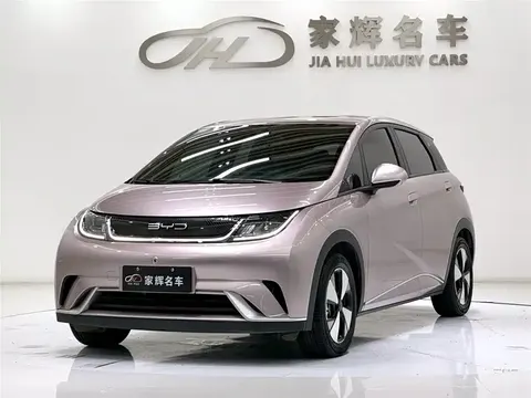 BYD Dolphin 2024 buy in Moscow