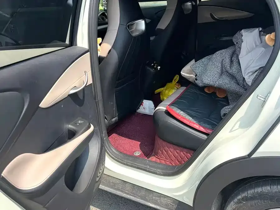BYD Dolphin Dolphin 2025 420KM Freedom Edition 2025 — миниатюра 2