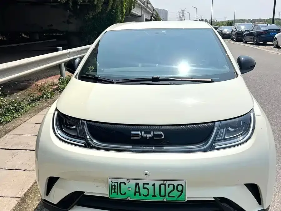 BYD Dolphin Dolphin 2025 420KM Freedom Edition 2025 — миниатюра 3