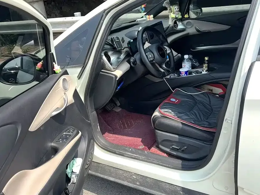BYD Dolphin Dolphin 2025 420KM Freedom Edition 2025 — миниатюра 4