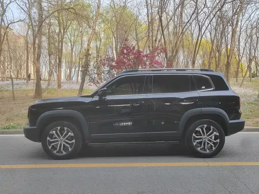 Haval Big dog Haval Big Dog 2022 1.5T DCT 2WD Border Collie Edition 2023 — миниатюра 2