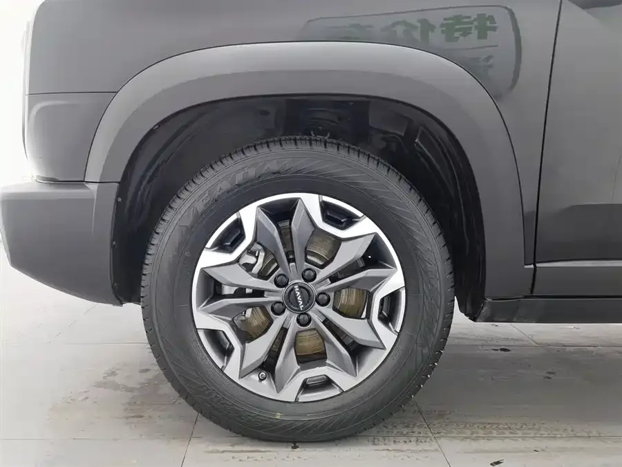 Haval Big dog Haval Big Dog 2024 2.0T DCT Chinese Pastoral Dog Edition 2024 — миниатюра 5