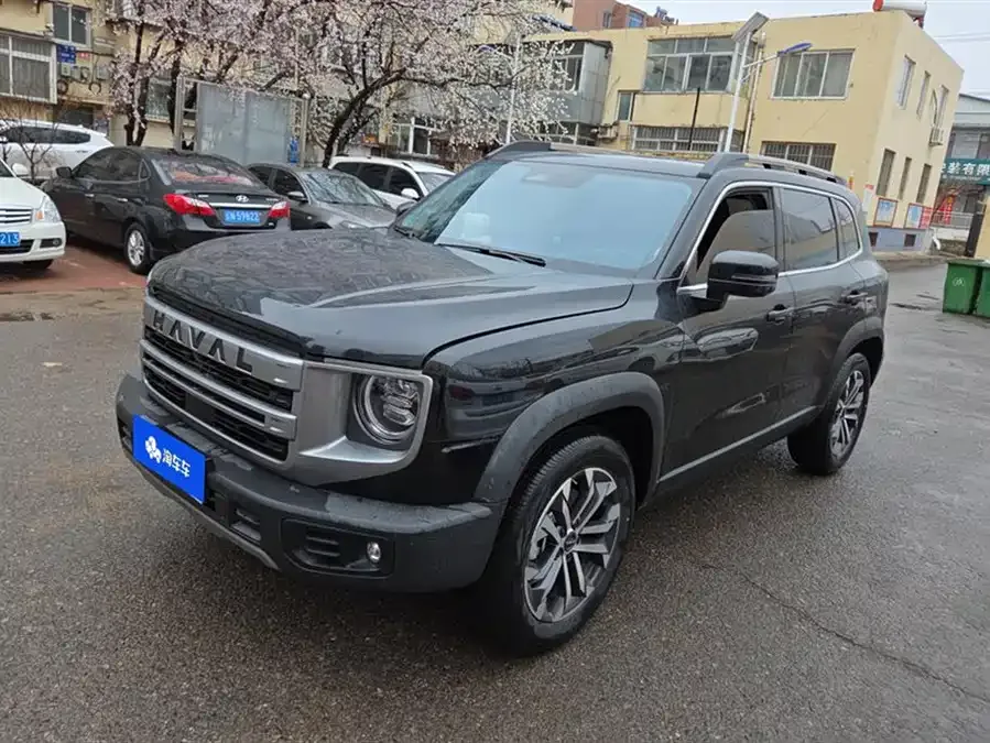 Haval Big dog Haval Big Dog 2024 1.5T DCT Border Collie Edition 2024 — фото 1, купить с доставкой в Москву