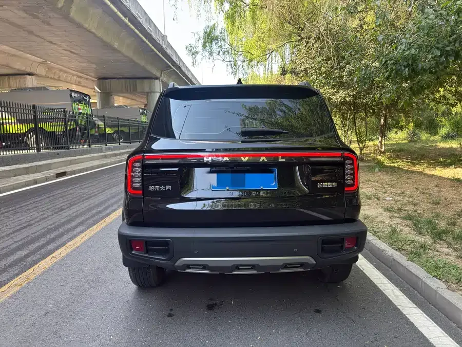 Haval Big dog Haval Big Dog 2024 1.5T DCT Border Collie Edition 2024 — миниатюра 2