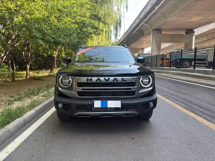 Haval Big dog Haval Big Dog 2024 1.5T DCT Border Collie Edition 2024 — фото 1, купить с доставкой в Москву