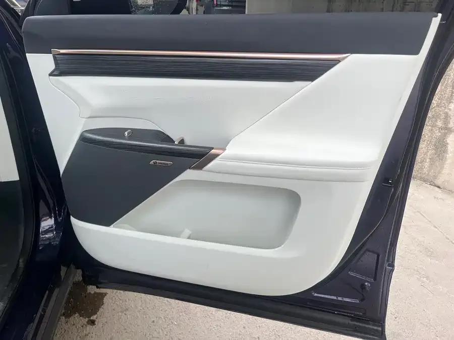 Dongfeng e008 e008 2024 636Max pure electric version 6 seats 2024 — миниатюра 2