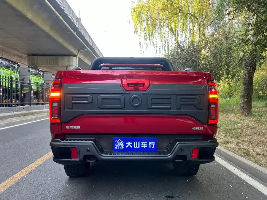 Great Wall gun 2021 2.0T off-road version automatic gasoline four-wheel drive Everest version GW4C20B 2022 — миниатюра 2