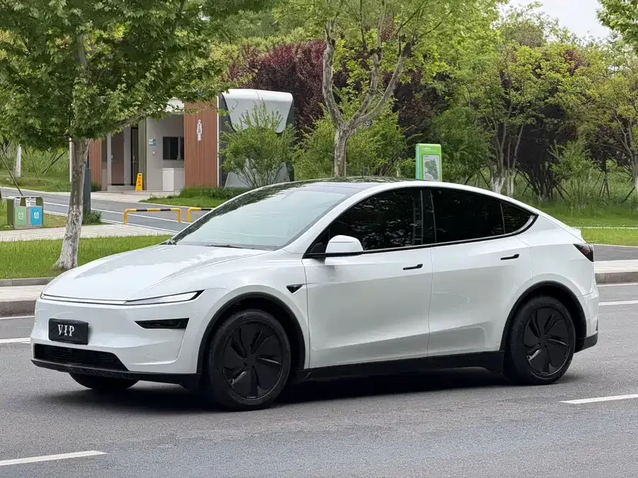 Tesla Model YL Model YL 2025 long-range all-wheel drive version 2026 — фото 1, купить с доставкой в Москву