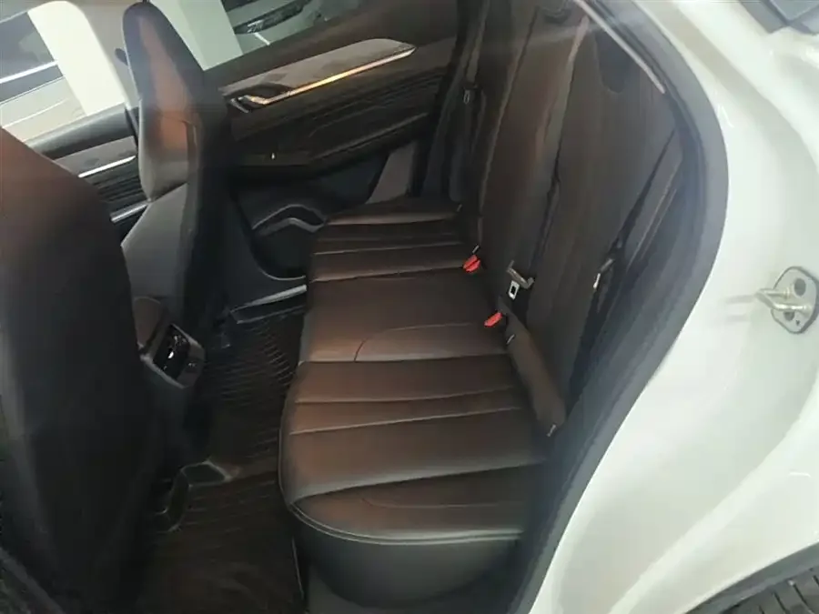 Dongfeng SKY EV01 SKY EV01 2024 530km PRO 2024 — миниатюра 5