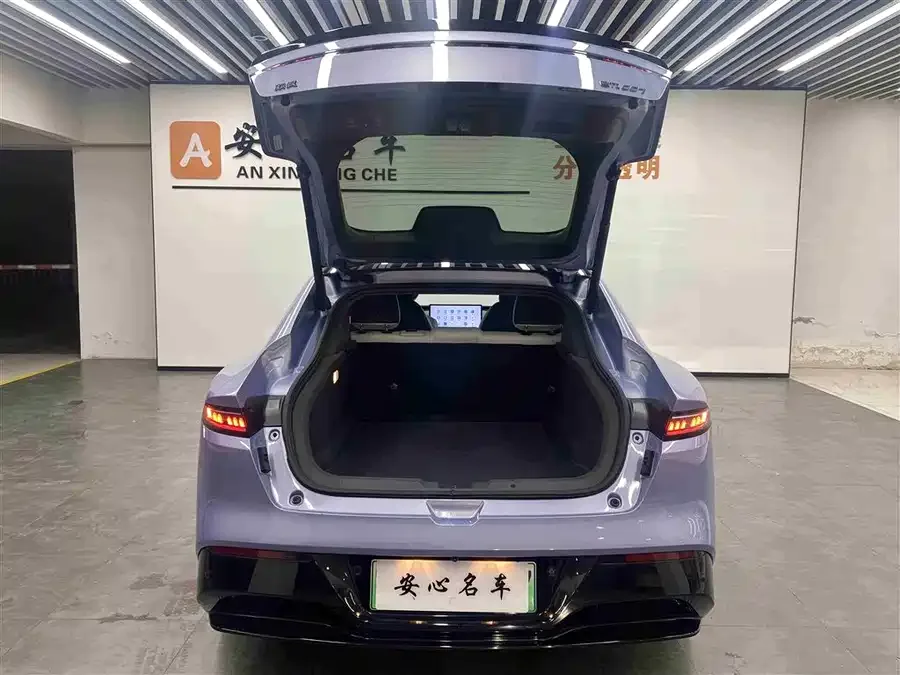 Dongfeng e007 e007 2024 620Pro Edition 2024 — миниатюра 2