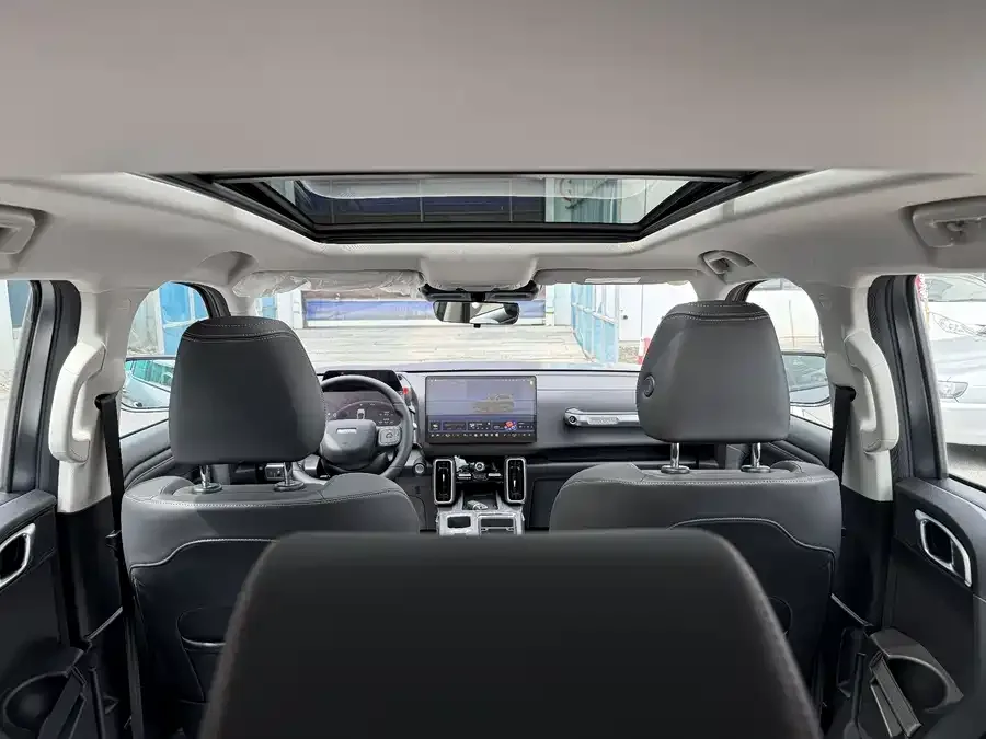 Haval Big dog Haval Big Dog 2024 2.0T DCT Chinese Pastoral Dog Edition 2025 — миниатюра 5