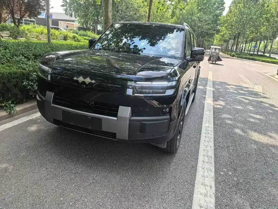 BYD Leopard Titanium 7 Titanium 7 2025 200KM 2WD Max Edition 2025 — фото 1, купить с доставкой в Москву