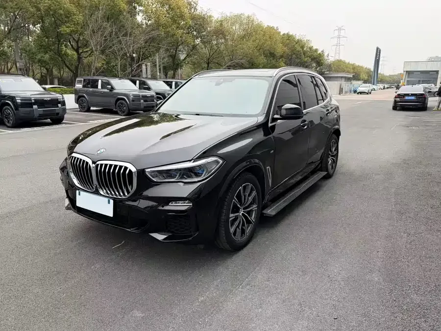 BMW X5 2022 xDrive 30Li M Sport Package 2022 — фото 1, купить с доставкой в Москву