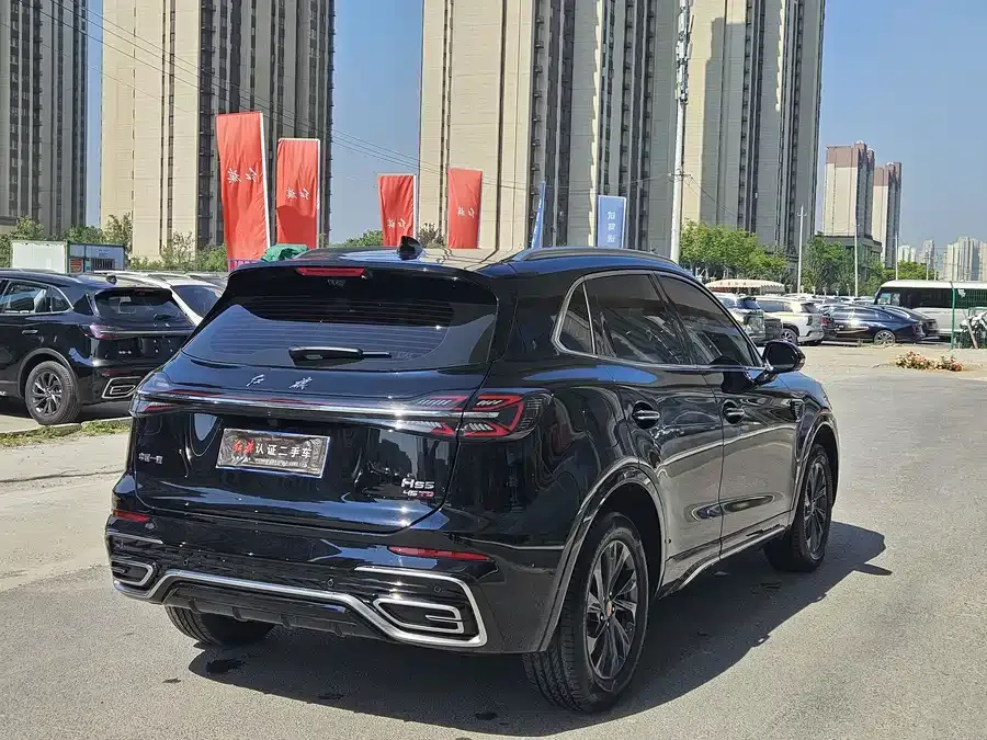Hongqi HS5 Hongqi HS5 2023 2.0T Flagship Pro Edition 2024 — миниатюра 2