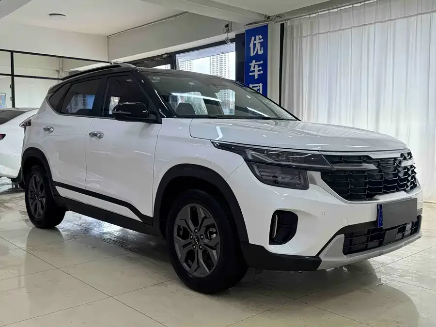 Kia Cyrus (Seltos) 2023 Certus 1.5L CVT Luxury Edition 2023 — миниатюра 3