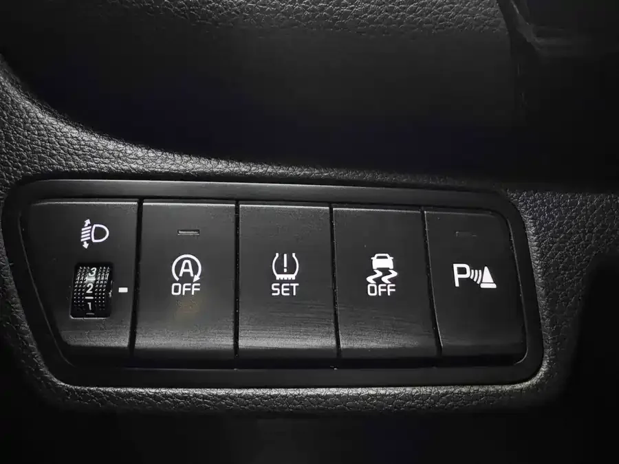 Kia Cyrus (Seltos) 2023 Certus 1.5L CVT Luxury Edition 2023 — миниатюра 5