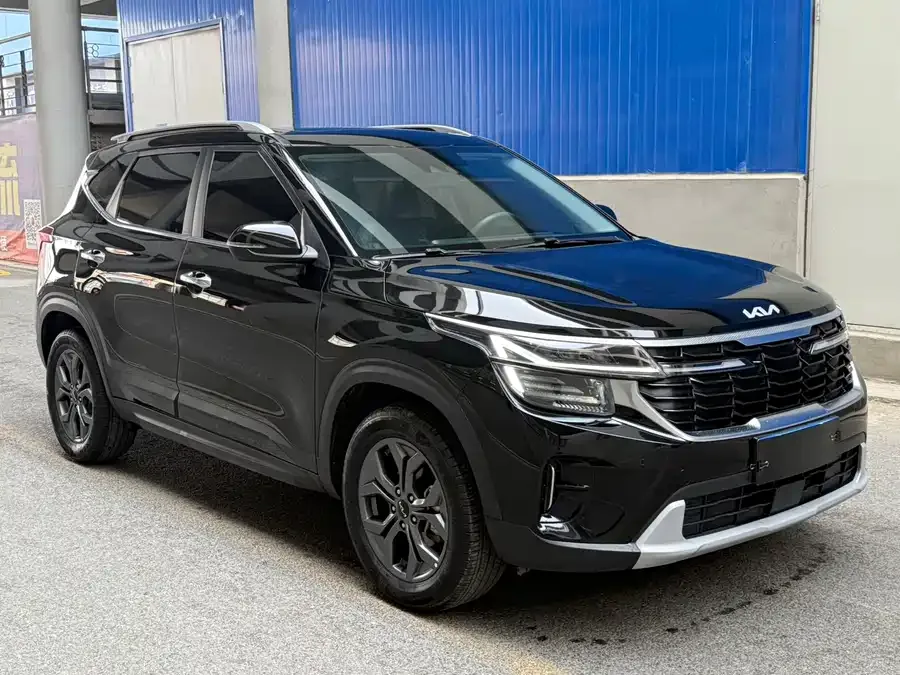 Kia Cyrus (Seltos) 2023 Certus 1.5L CVT Luxury Edition 2023 — миниатюра 3