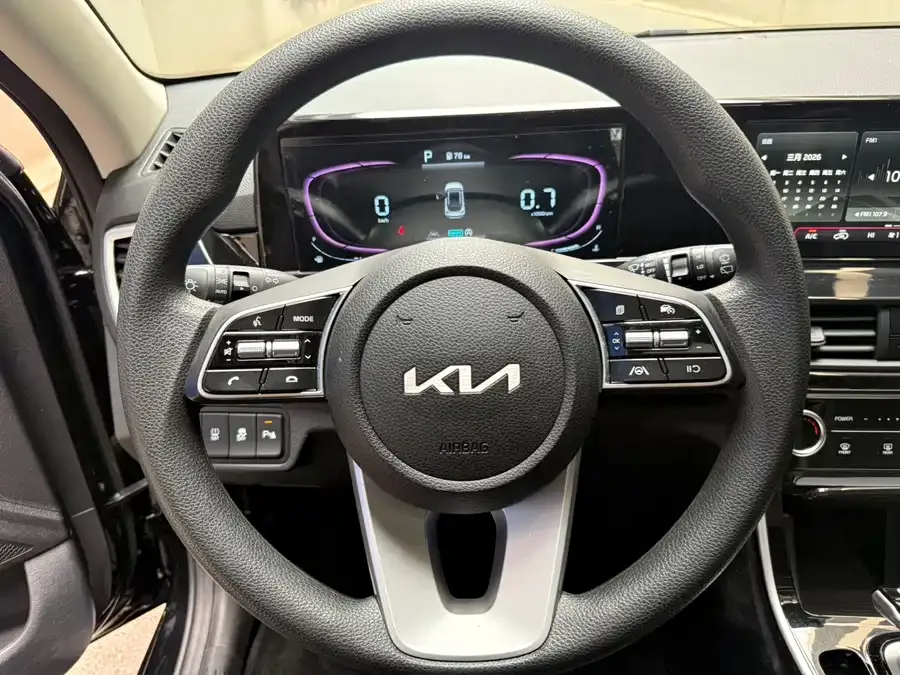 Kia Cyrus (Seltos) 2023 Certus 1.5L CVT Luxury Edition 2023 — миниатюра 5