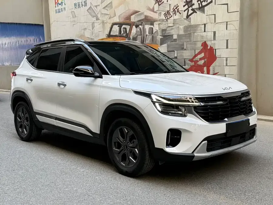 Kia Cyrus (Seltos) 2023 Certus 1.5L CVT Luxury Edition 2023 — миниатюра 3