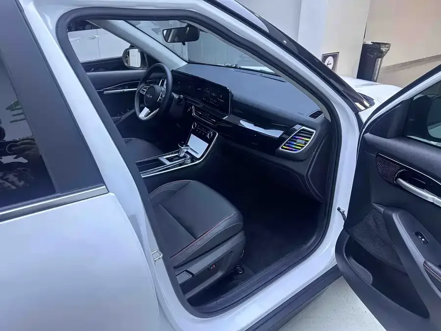 Kia Cyrus (Seltos) 2023 Certus 1.5L CVT Luxury Edition 2023 — миниатюра 5