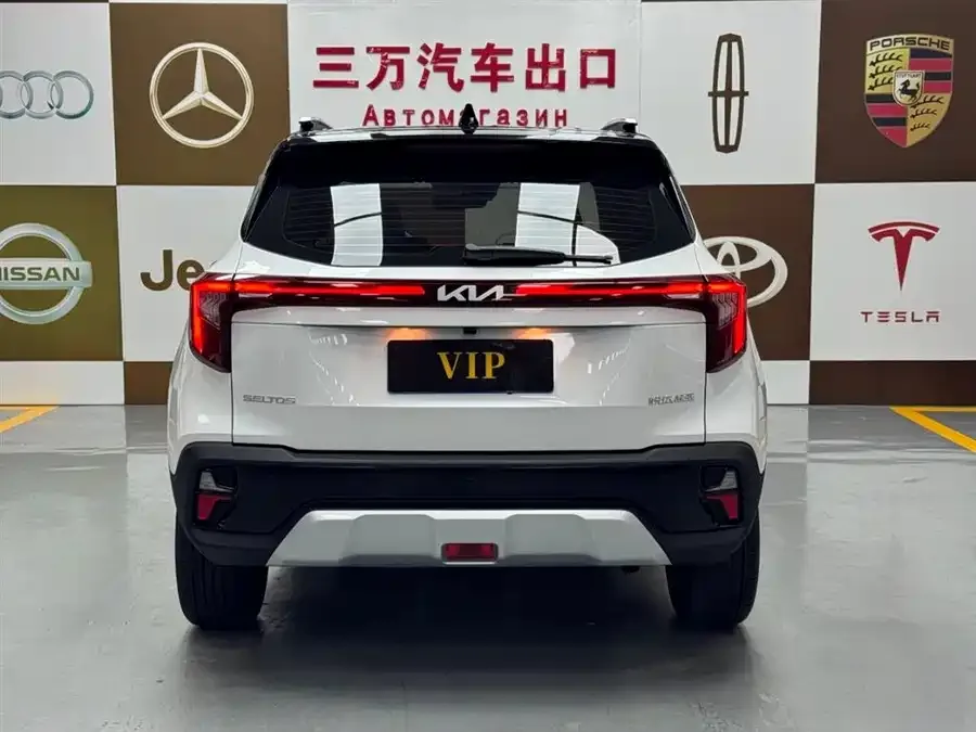 Kia Cyrus (Seltos) 2023 Certus 1.5L CVT Luxury Edition 2023 — миниатюра 2