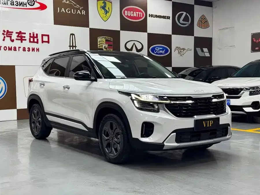 Kia Cyrus (Seltos) 2023 Certus 1.5L CVT Luxury Edition 2023 — миниатюра 3