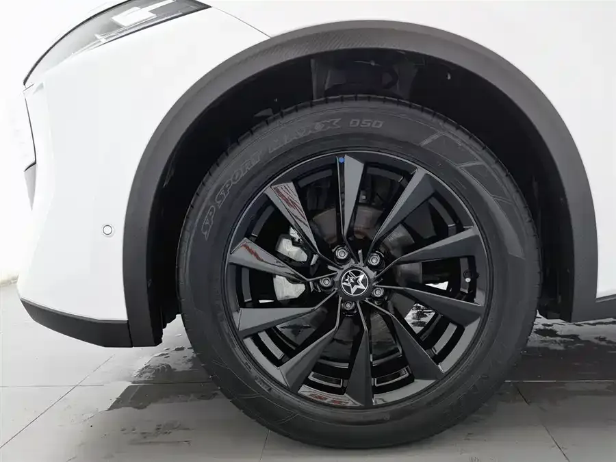 Venucia Big V Venucia V 2021 260T King Edition 2023 — миниатюра 5
