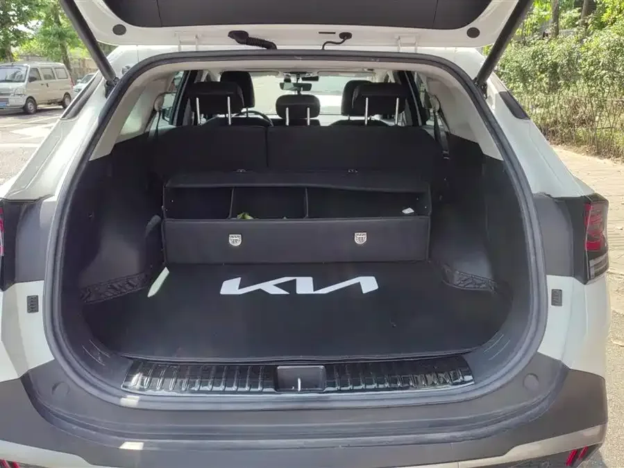 Kia Lion Platinum 2023 Lion Bo Tuojie 2.0T 2WD Flagship Edition 2022 — миниатюра 3