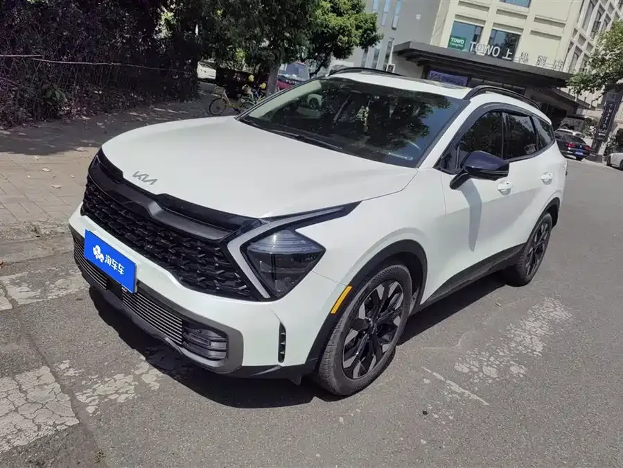 Kia Lion Platinum 2023 Lion Bo Tuojie 2.0T 2WD Flagship Edition 2022 — фото 1, купить с доставкой в Москву