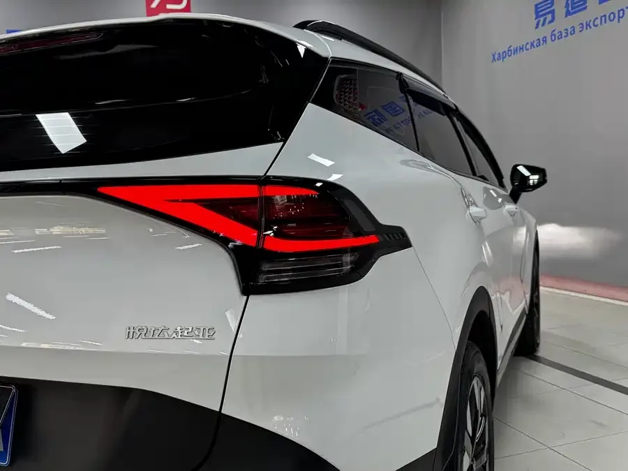 Kia Lion Platinum 2023 Lion Bo Tuojie 2.0T 2WD Premium Edition 2023 — миниатюра 2