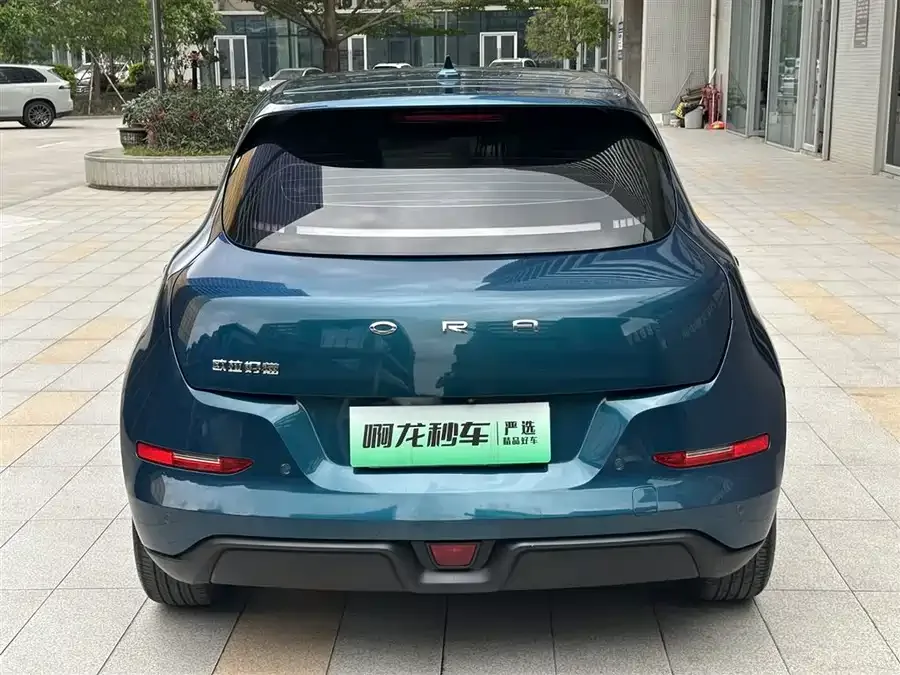 ORA good cat Euler Good Cat 2022 400km standard range premium ternary lithium model 2022 — миниатюра 2