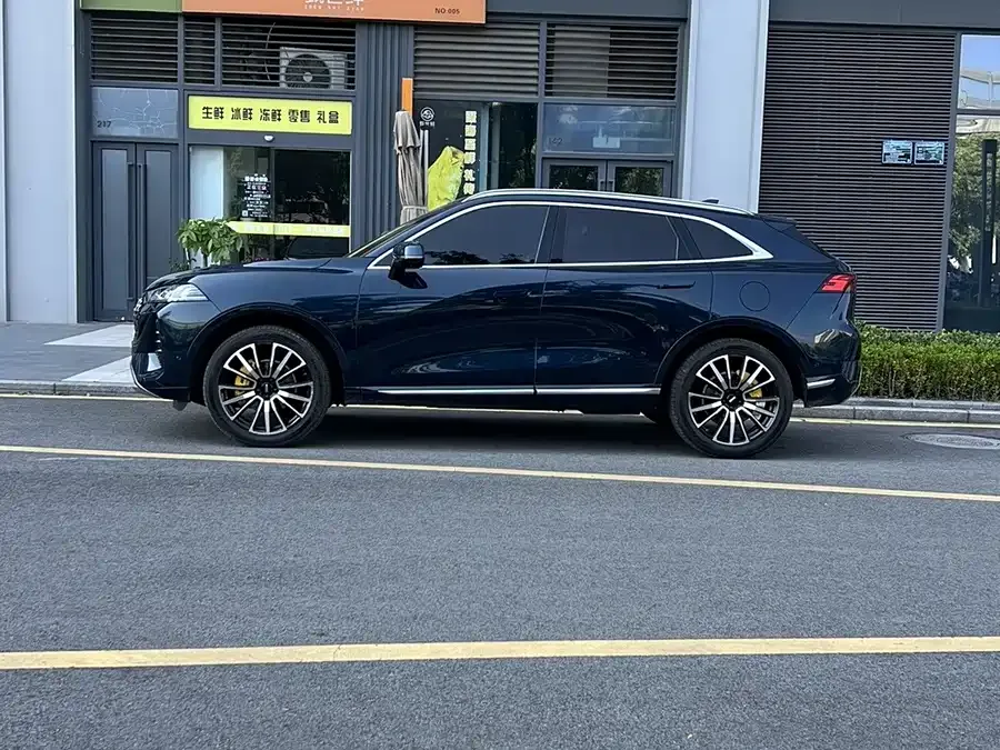 WEY Mocha Wei Mocha 2021 2.0T 4WD Special Edition 2022 — миниатюра 5