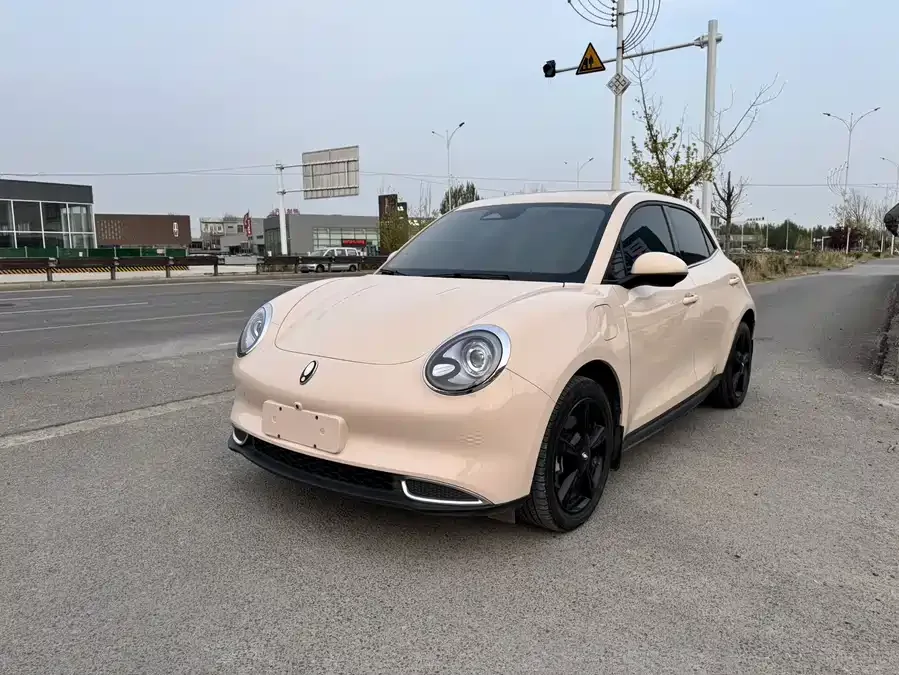 ORA good cat ORA Good Cat 2024 401km Luxury Model 2024 — фото 1, купить с доставкой в Москву