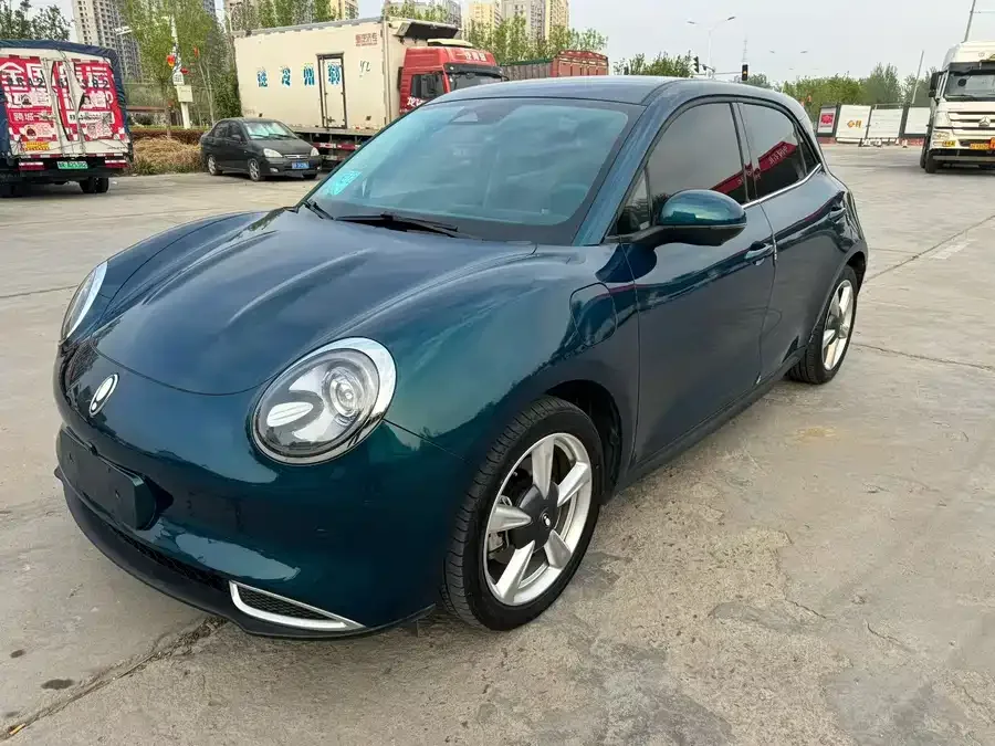 ORA good cat Euler Good Cat 2023 401km standard range luxury lithium iron phosphate 2024 — фото 1, купить с доставкой в Москву