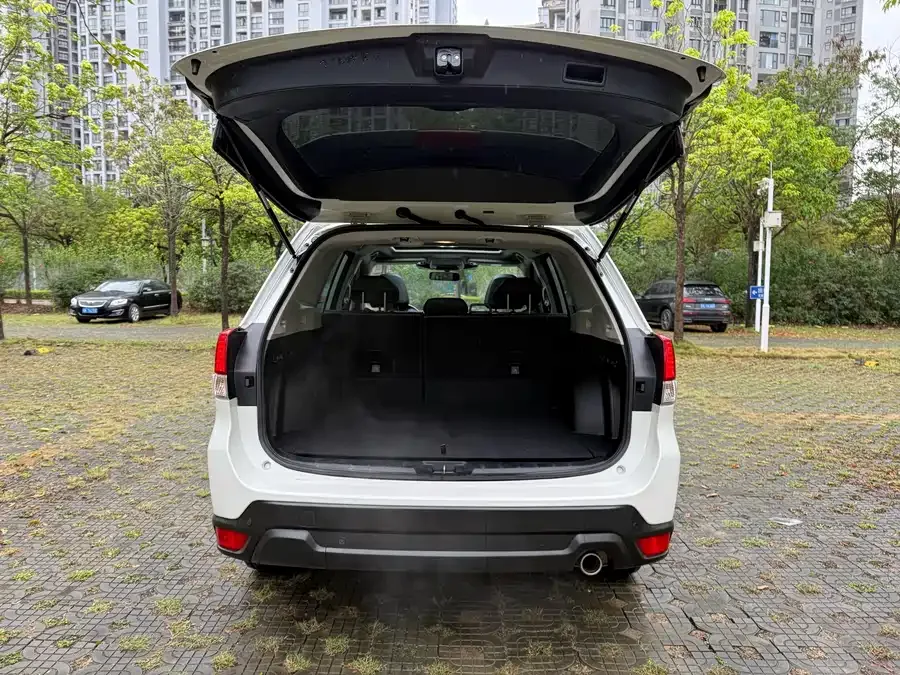 Subaru Forester Forester 2022 2.0i AWD Luxury Edition EyeSight 2023 — миниатюра 5