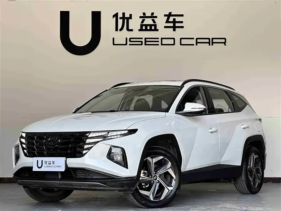 Hyundai Tucson L Tucson 2023 Tucson L 1.5T Automatic 2WD DLX Luxury Edition 2023 — фото 1, купить с доставкой в Москву