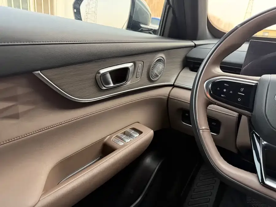 Chery Tiggo 8 PLUS Tiggo 8 PLUS 2025 290TGDI DCT Premium Edition 2024 — миниатюра 4