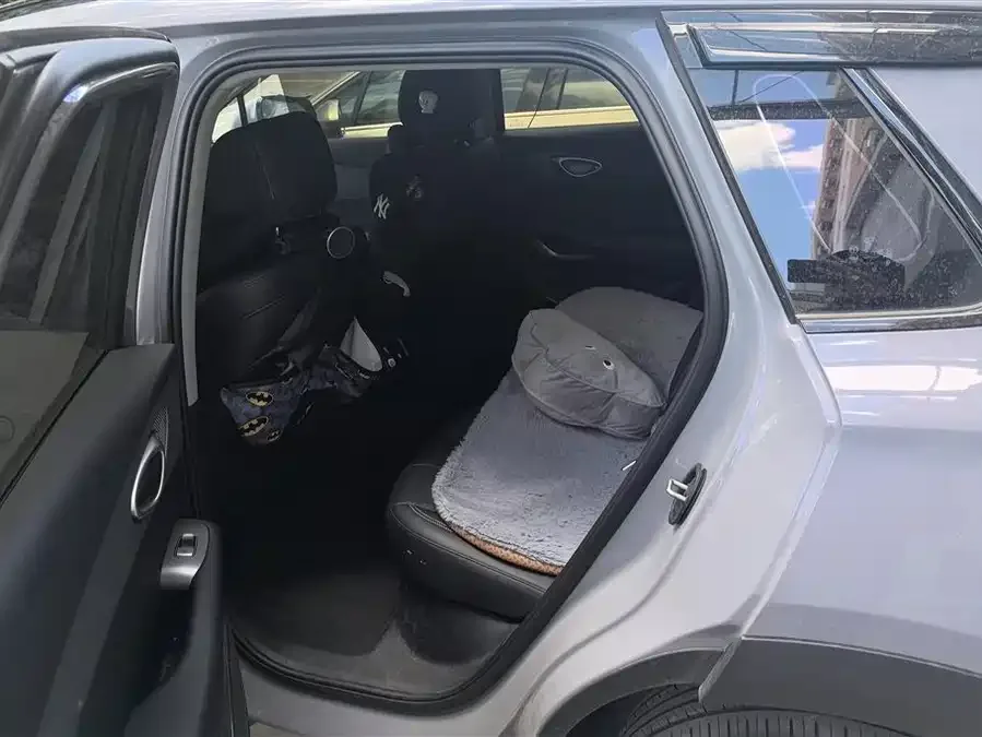 BYD Sea Lion 05 EV Sea Lion 05 EV 2025 520KM Intelligent Navigation Edition 2025 — миниатюра 5