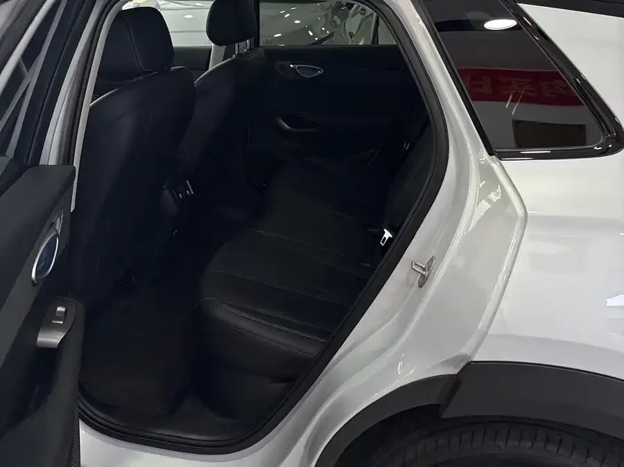 BYD Sea Lion 05 EV Sea Lion 05 EV 2025 520KM Flagship Smart Navigation Edition 2025 — миниатюра 5
