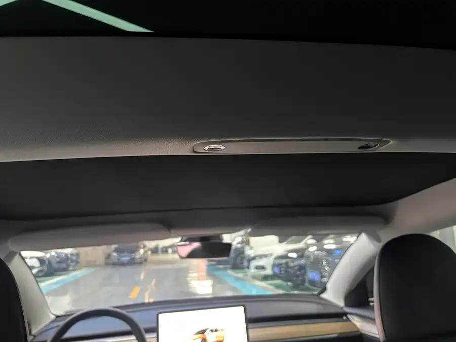 Tesla Model 3 Model 3 2022 rear-wheel drive version 2022 — миниатюра 3