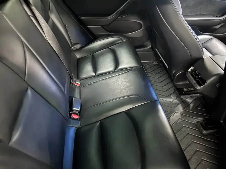 Tesla Model 3 Model 3 2022 rear-wheel drive version 2022 — миниатюра 4