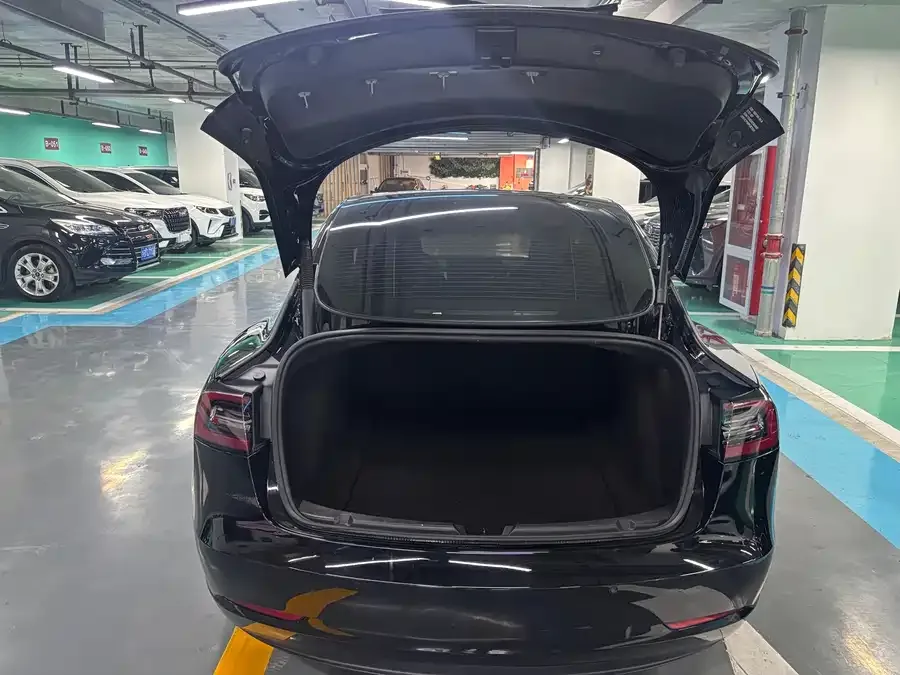 Tesla Model 3 Model 3 2022 rear-wheel drive version 2022 — миниатюра 5