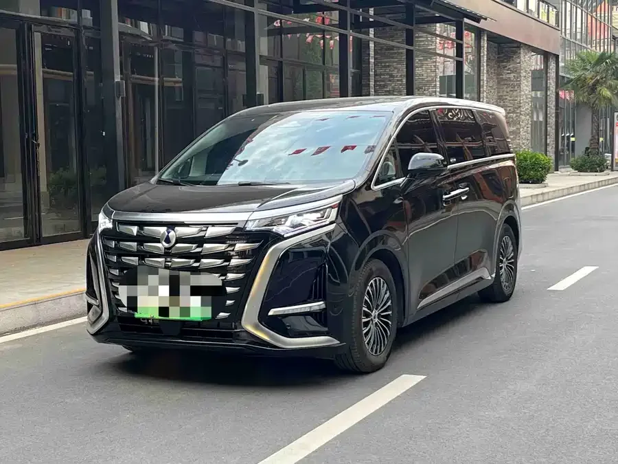 BYD D9 DENZA D9 2024 DM-i 980 4WD Premium Edition 2025 — фото 1, купить с доставкой в Москву