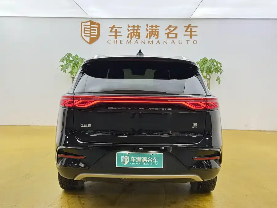 BYD Tang New Energy Tang New Energy 2024 EV Champion Edition 730KM Premium Edition 2024 — миниатюра 5