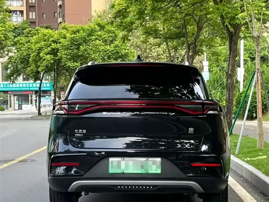 BYD Tang New Energy Tang New Energy 2021 DM-i 112KM Premium Edition 2022 — миниатюра 3